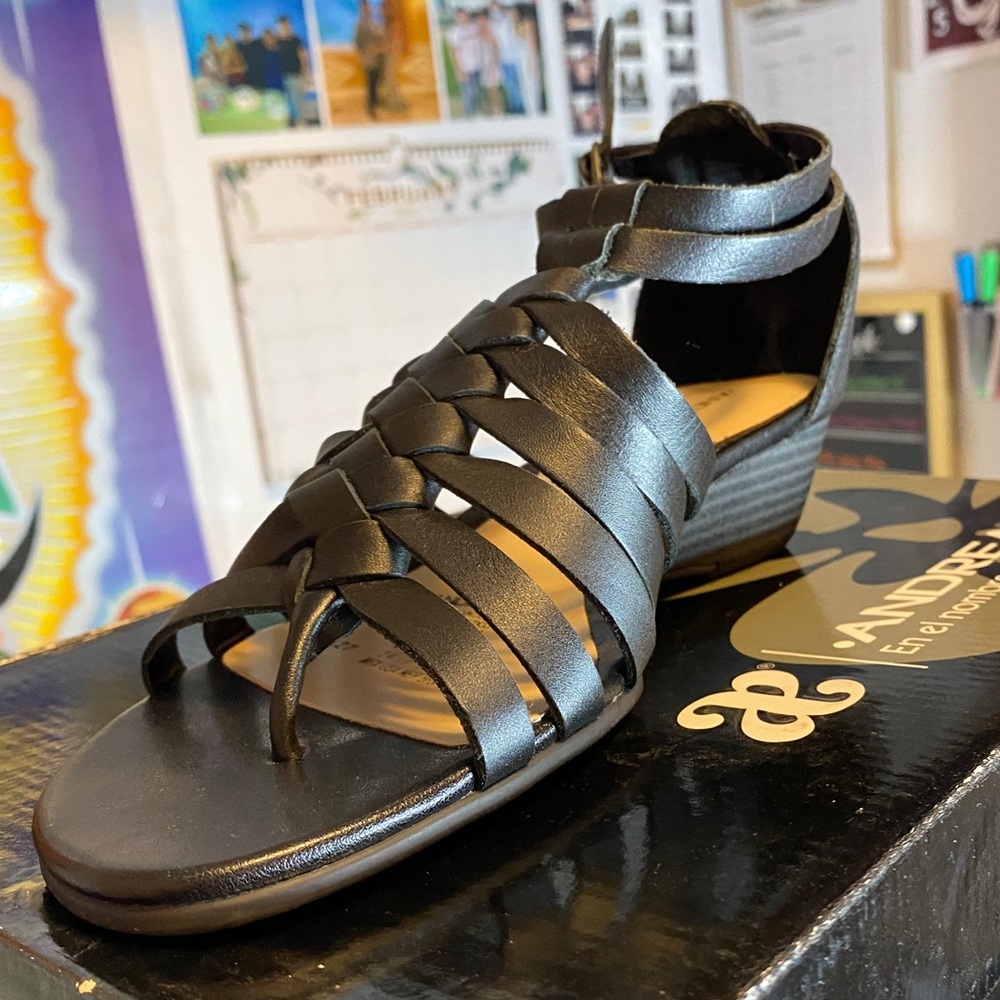 Andrea Black Sandal Wedges